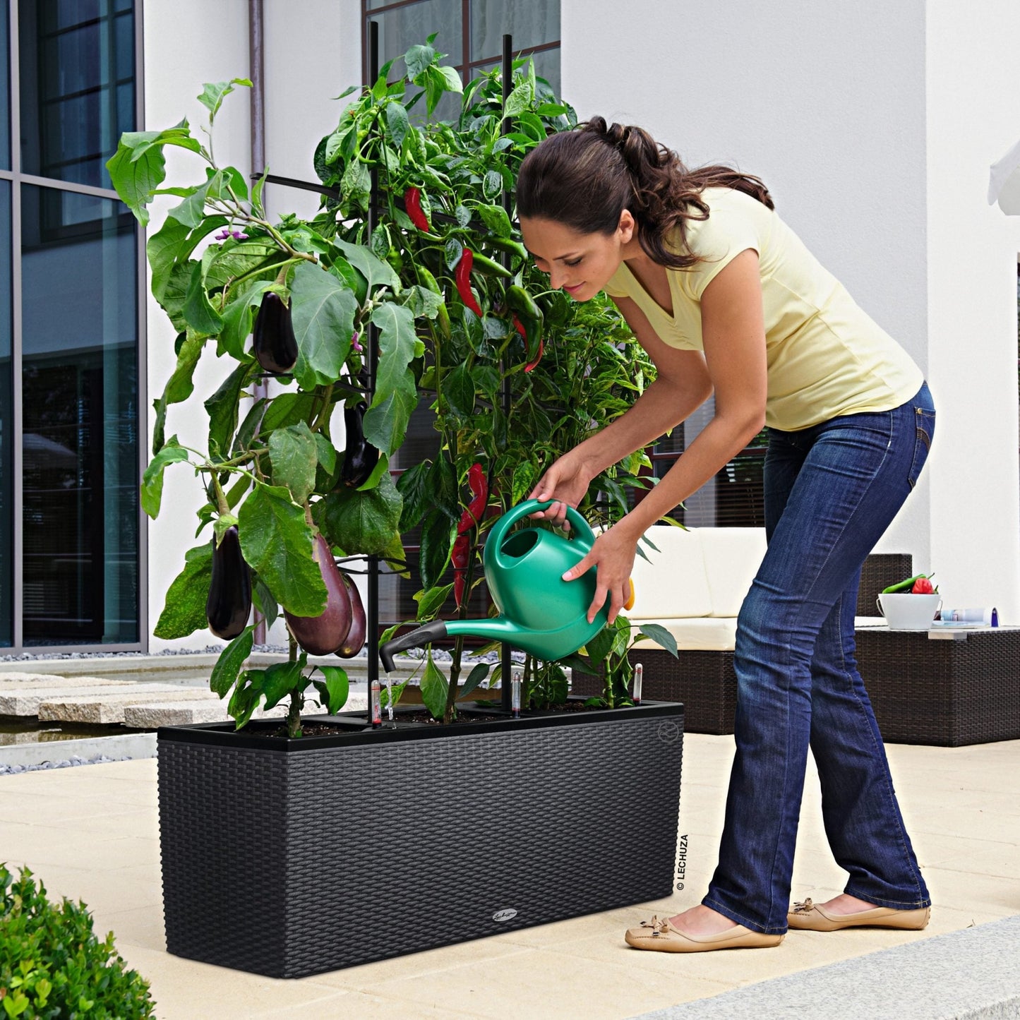 TRIO Cottage 30 - mazeproducts