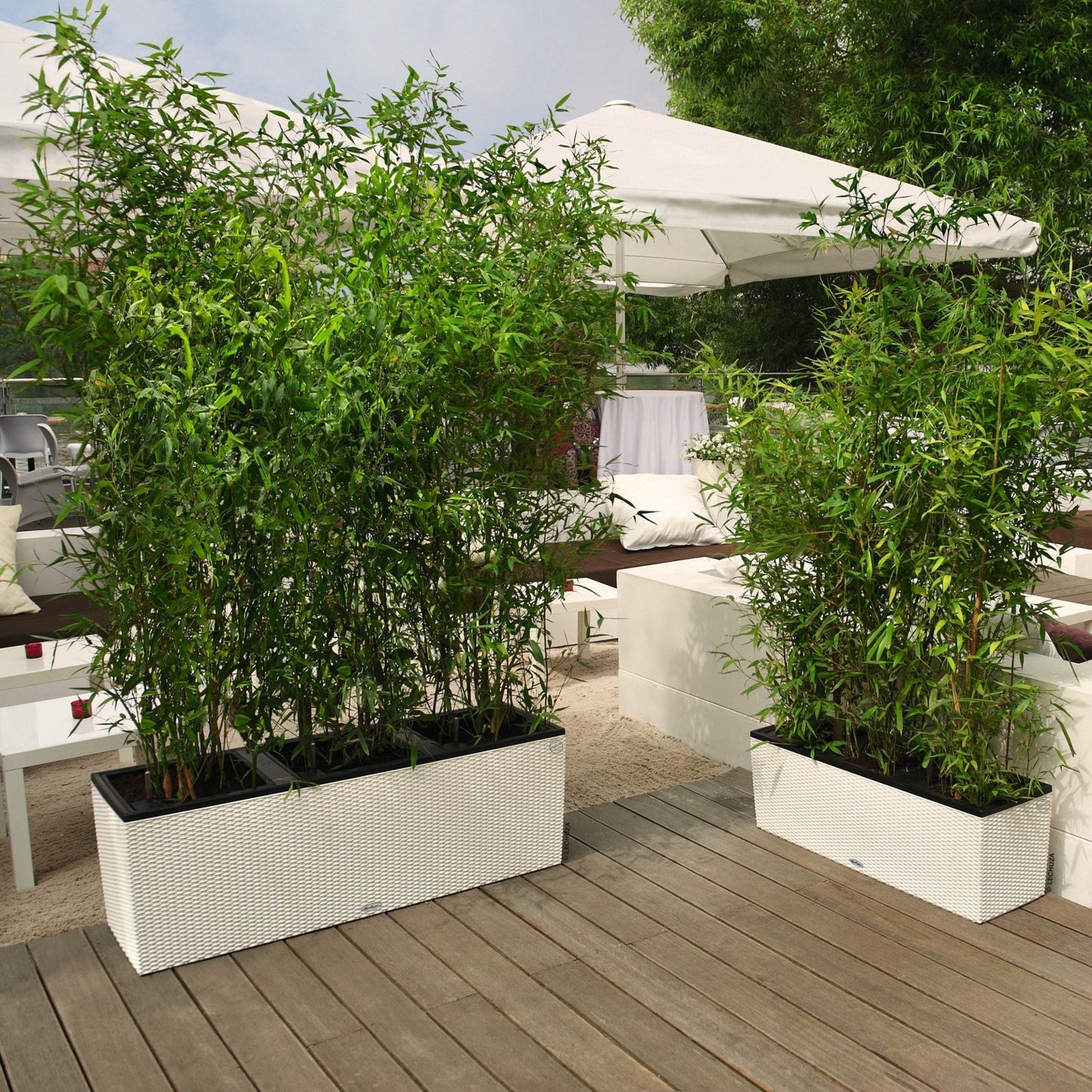 TRIO Cottage 40 - mazeproducts