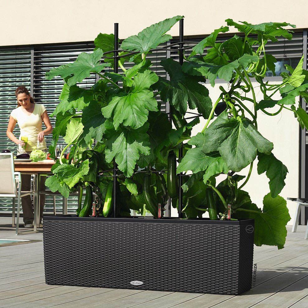 TRIO Cottage 40 - mazeproducts