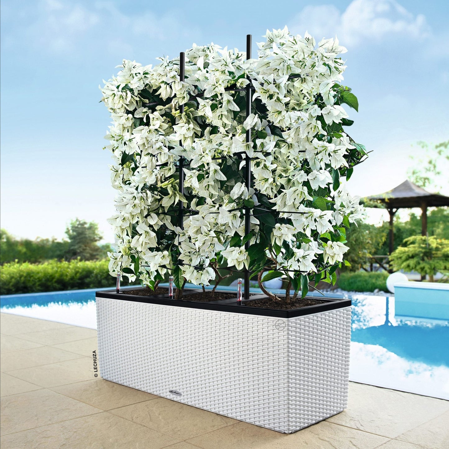 TRIO Cottage 40 - mazeproducts