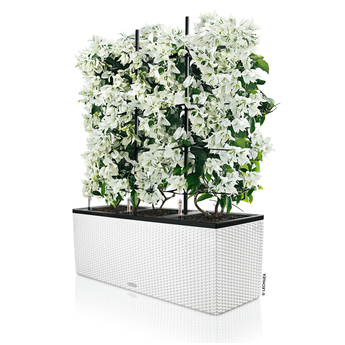 TRIO Cottage 40 - mazeproducts