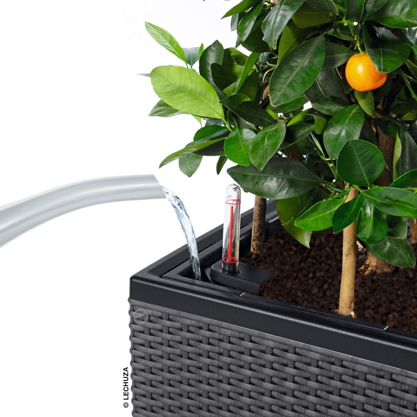 TRIO Cottage 30 - mazeproducts