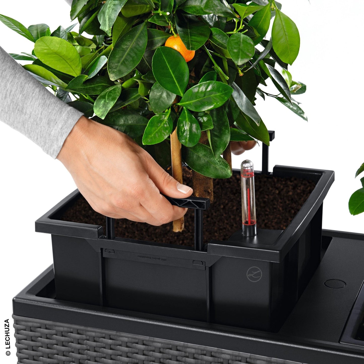 TRIO Cottage 30 - mazeproducts