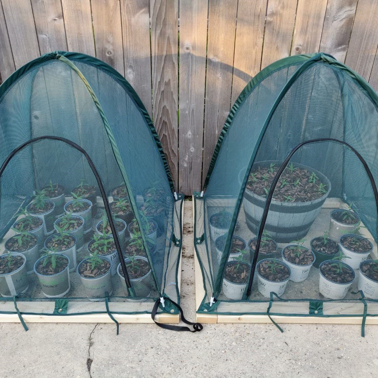 Twin Pack NET Garden Covers - 0.92m2 x 1m High - mazeproducts