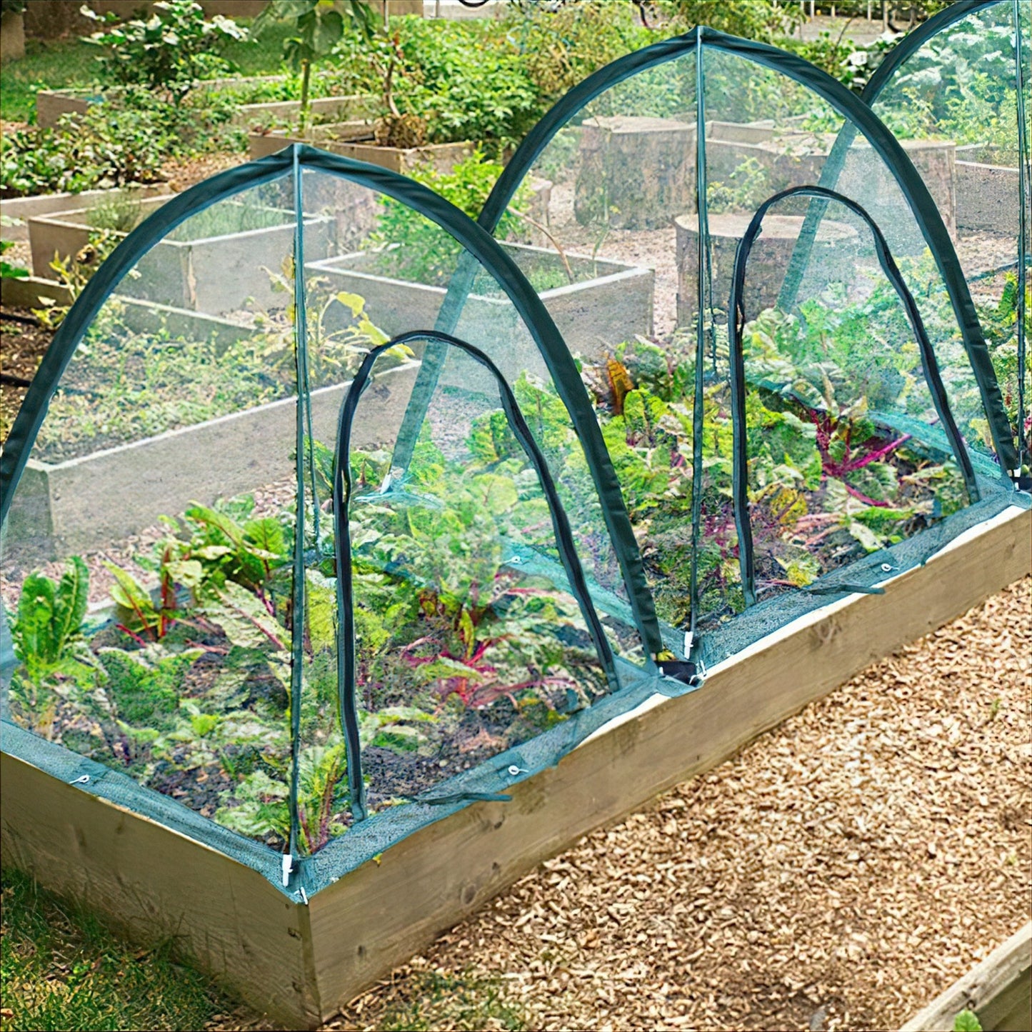 Twin Pack NET Garden Covers - 0.92m2 x 1m High - mazeproducts