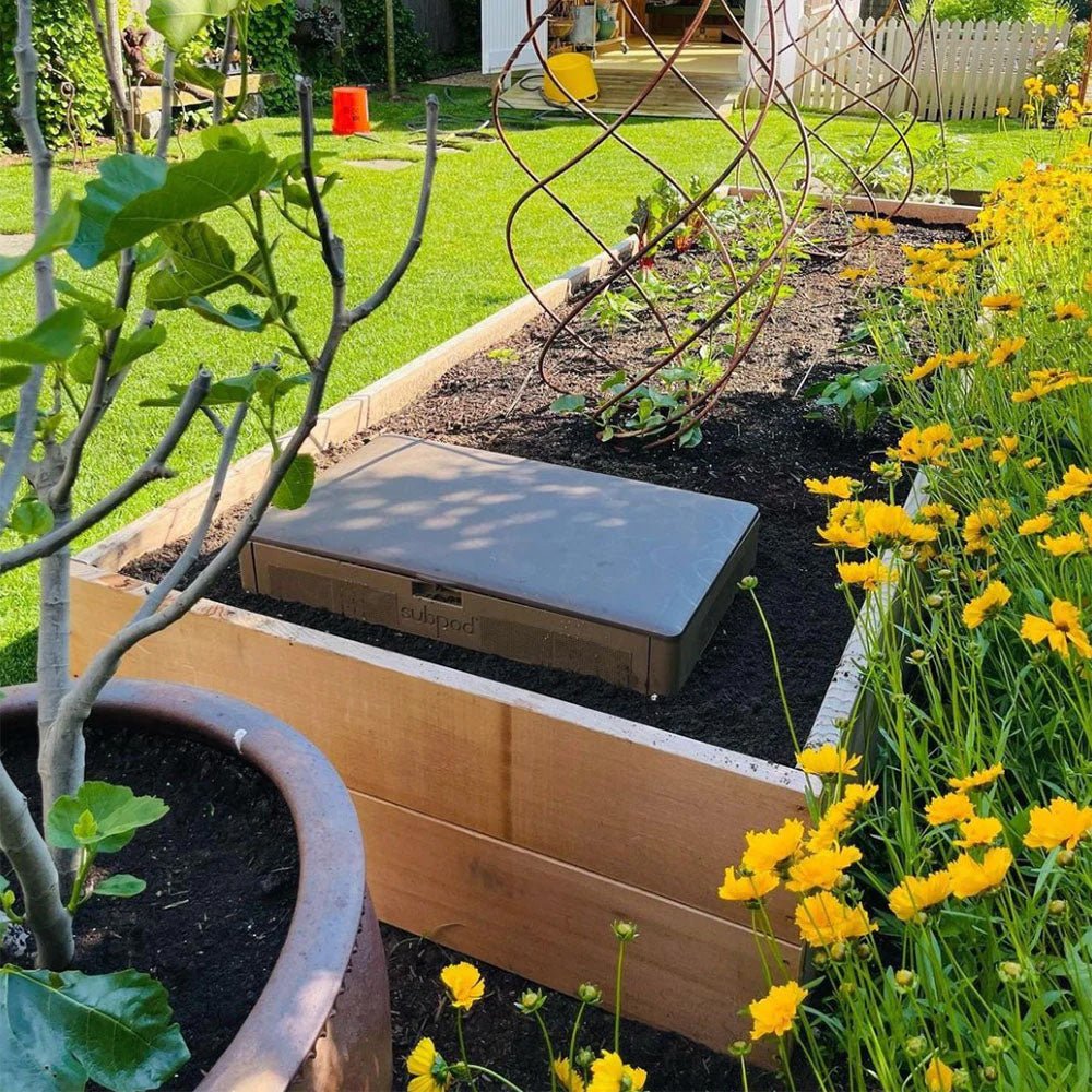 SubPod Worm Farm - Brown - mazeproducts