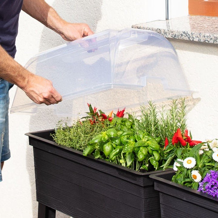 URBAN Raised Planter with Cloche Cover - mazeproducts