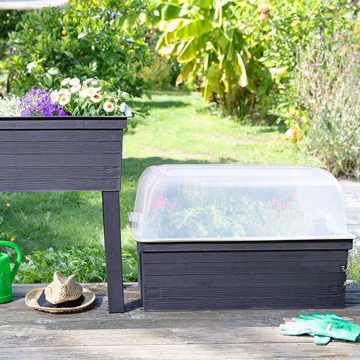 URBAN Raised Planter with Cloche Cover - mazeproducts