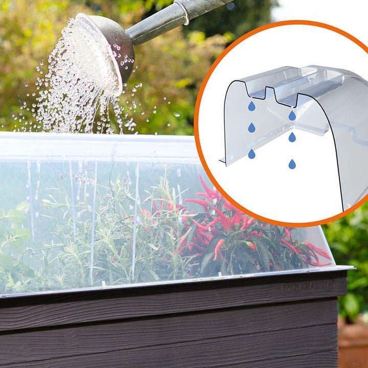 URBAN Raised Planter with Cloche Cover - mazeproducts