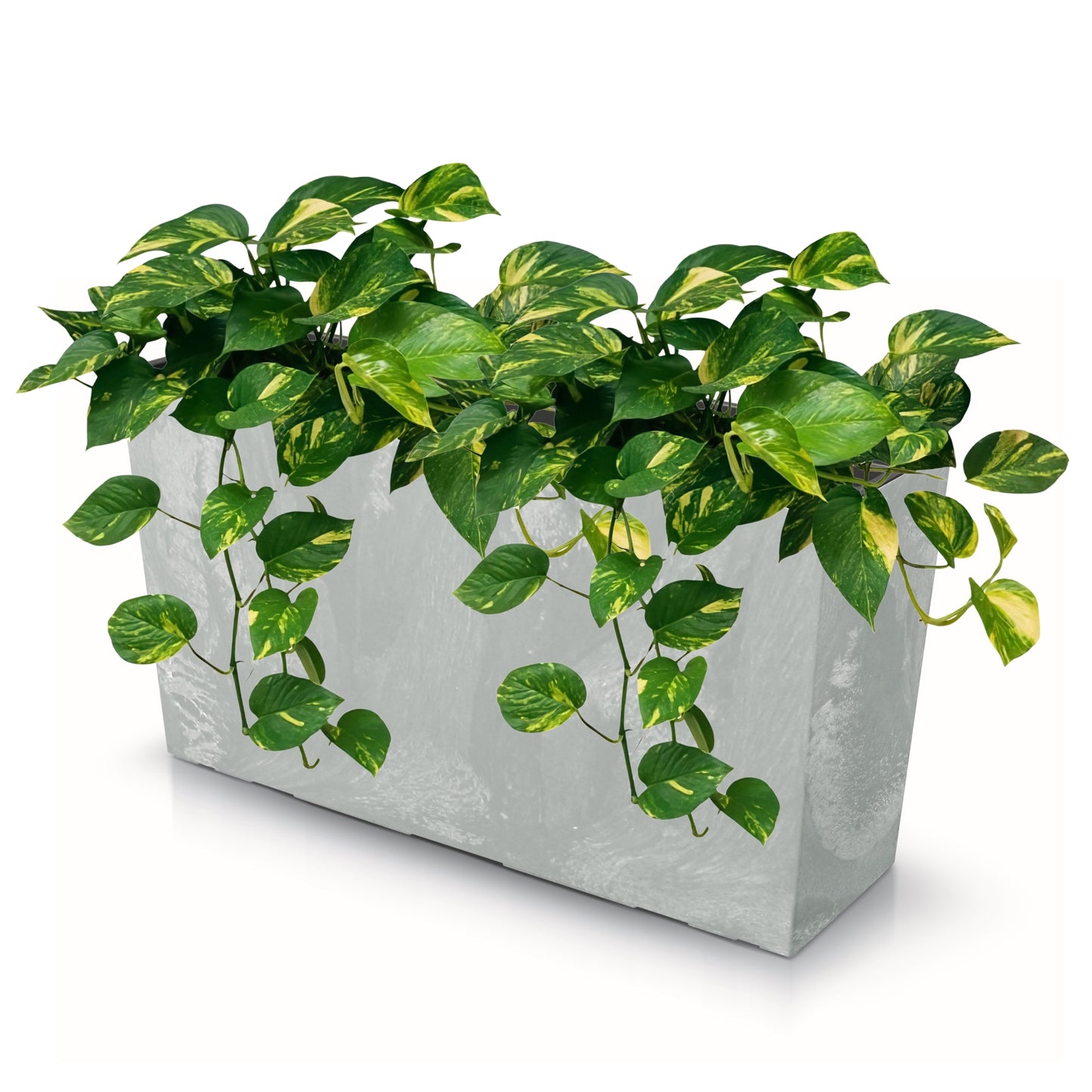 Urbi Case Medium Planter - mazeproducts