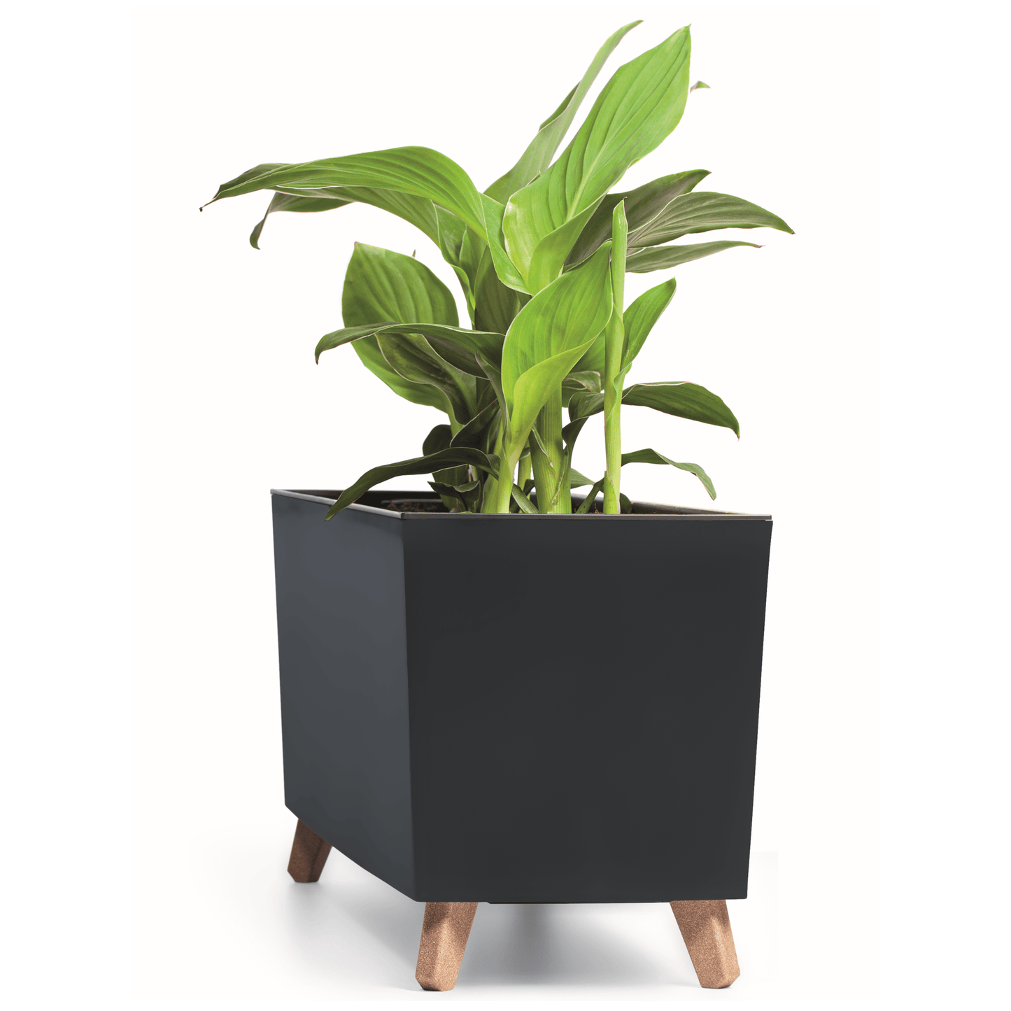 Gracia Case Medium Planter - mazeproducts