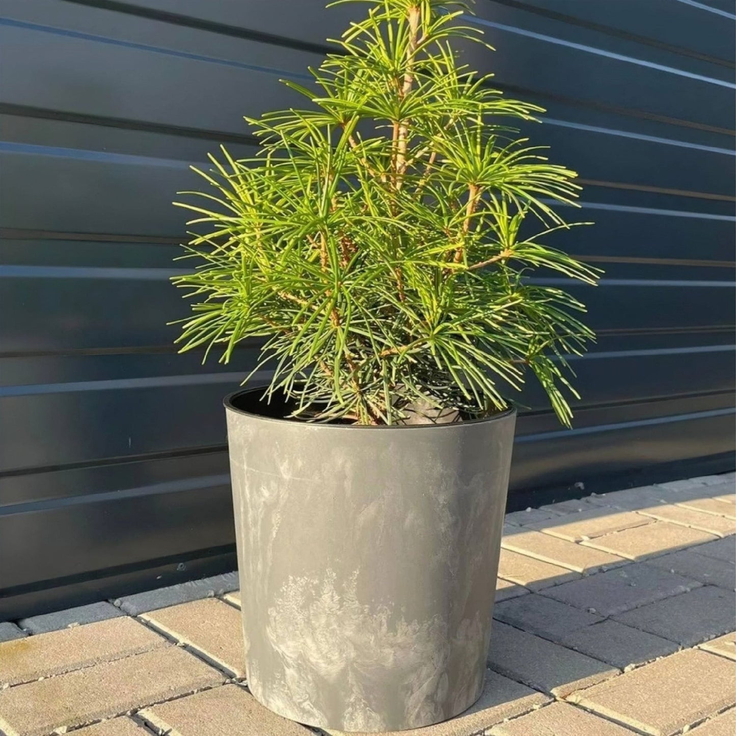 Urbi Round Beton Planter - mazeproducts