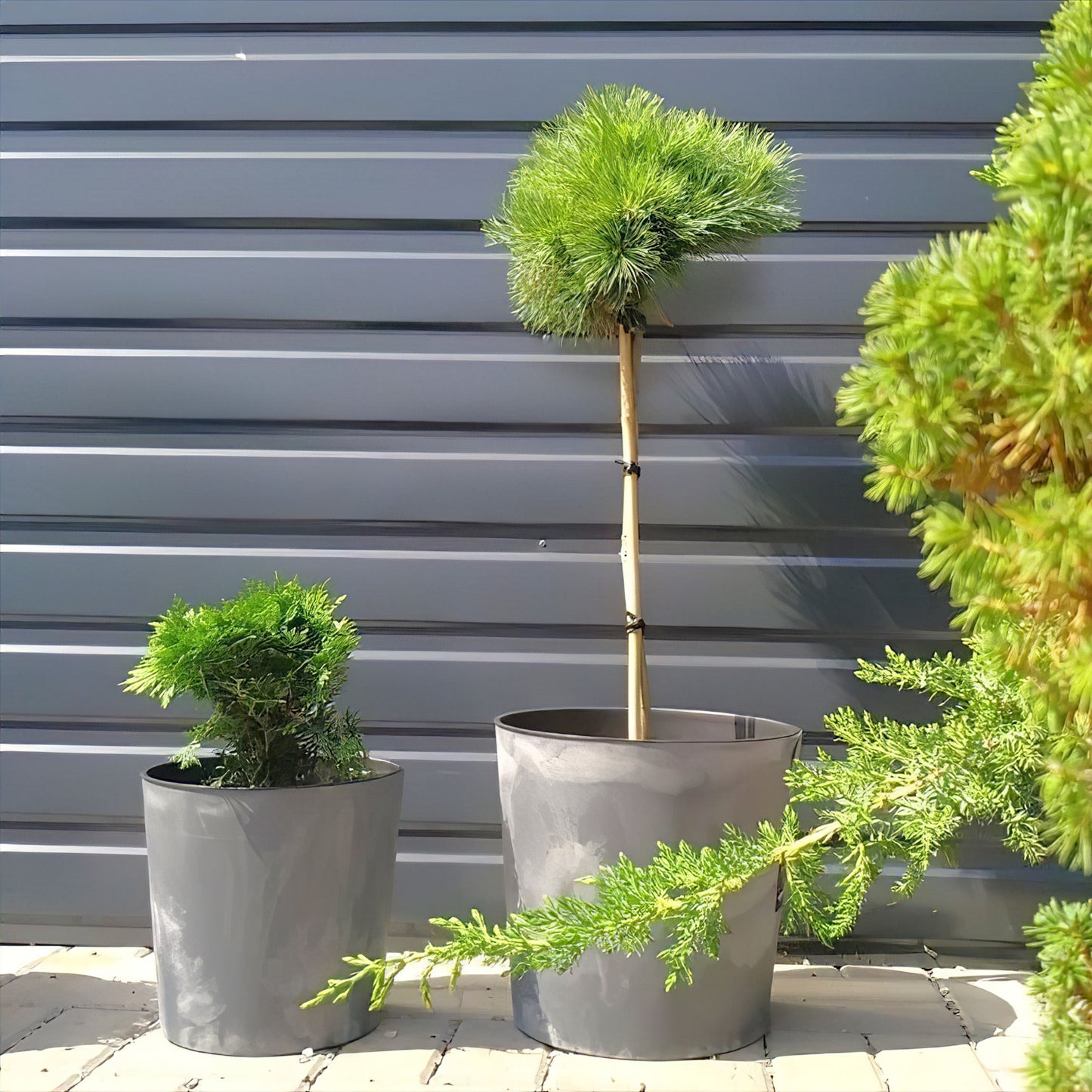 Urbi Round Beton Planter - mazeproducts