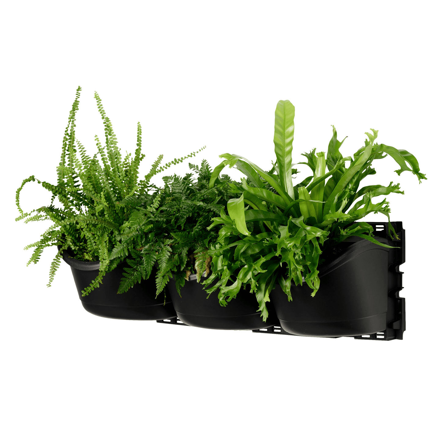 XL THREE Tier Vertical Garden - mazeproducts