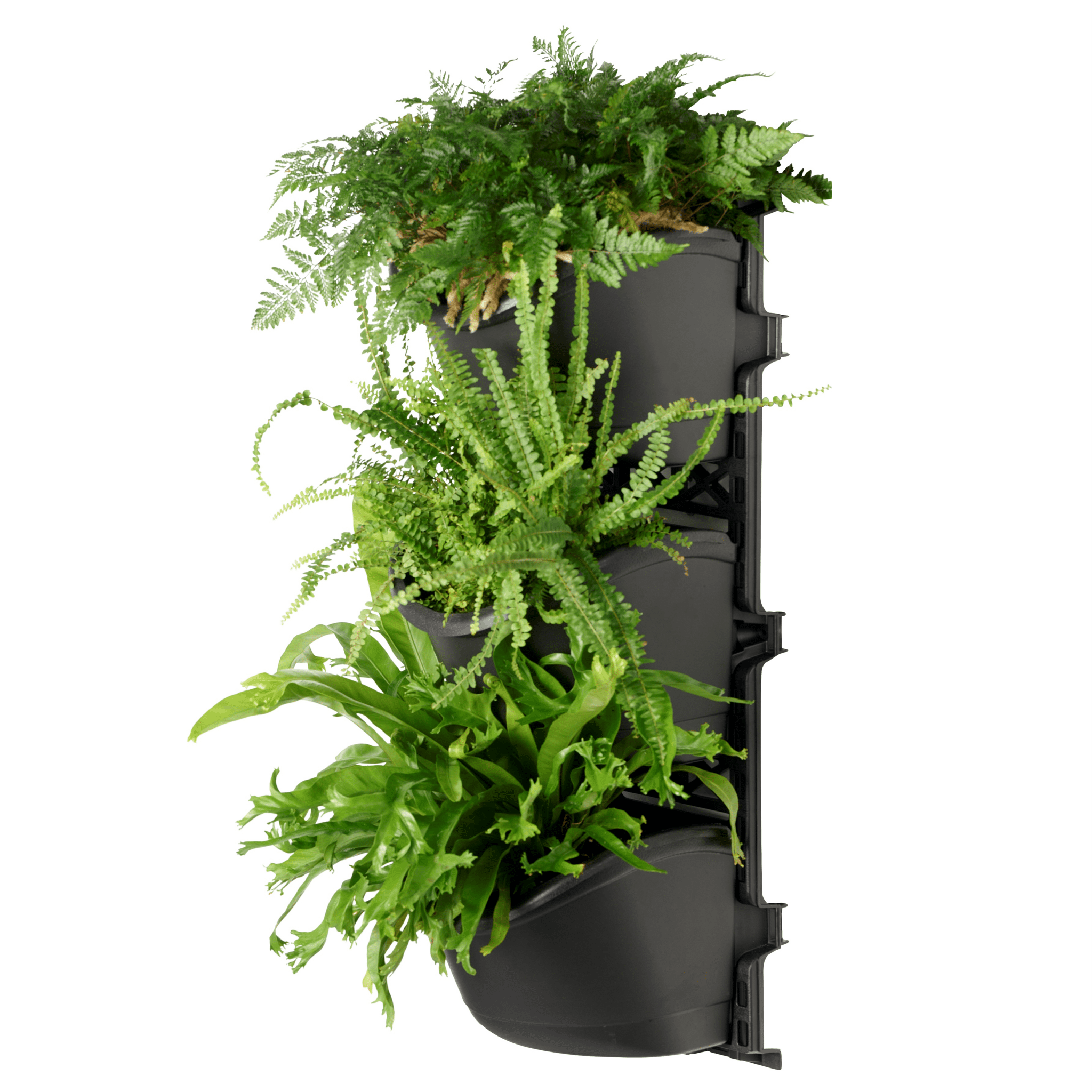 Illustration of Vertical Garden Kit For Small Backyard Gardens