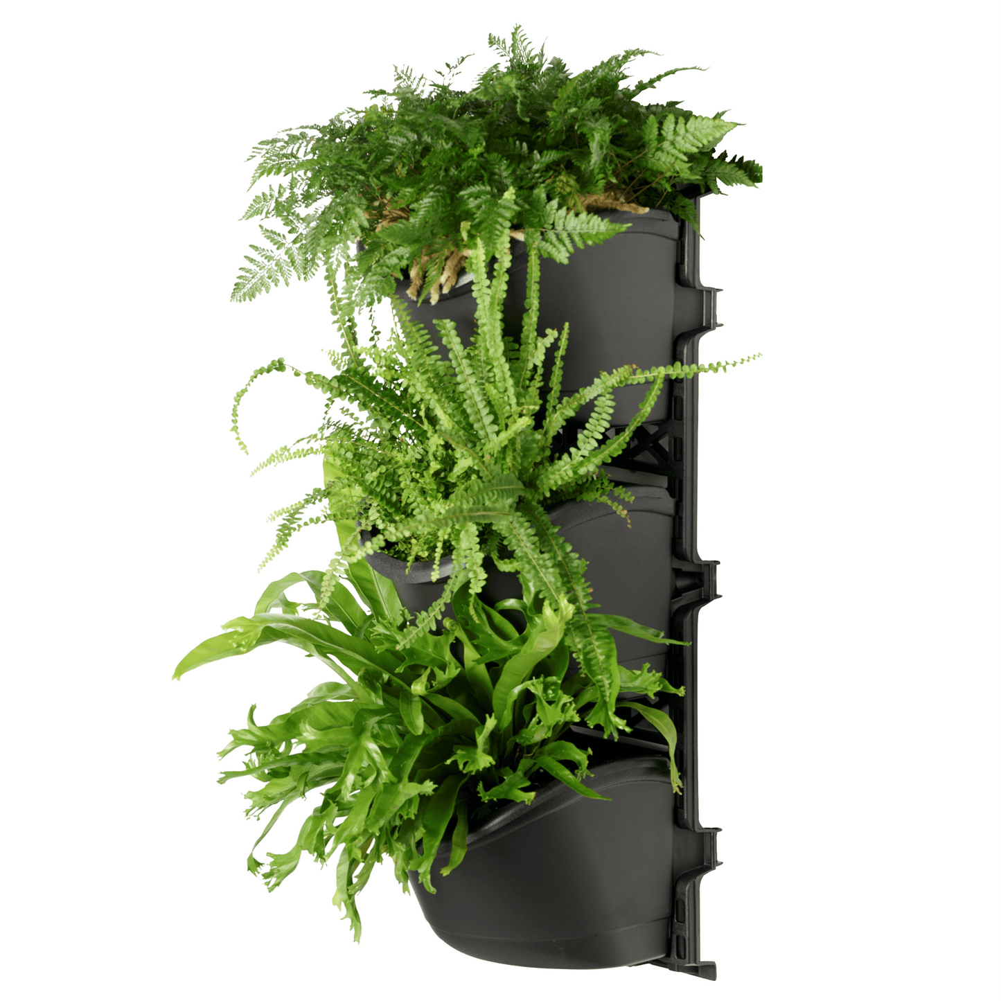 XL THREE Tier Vertical Garden - mazeproducts