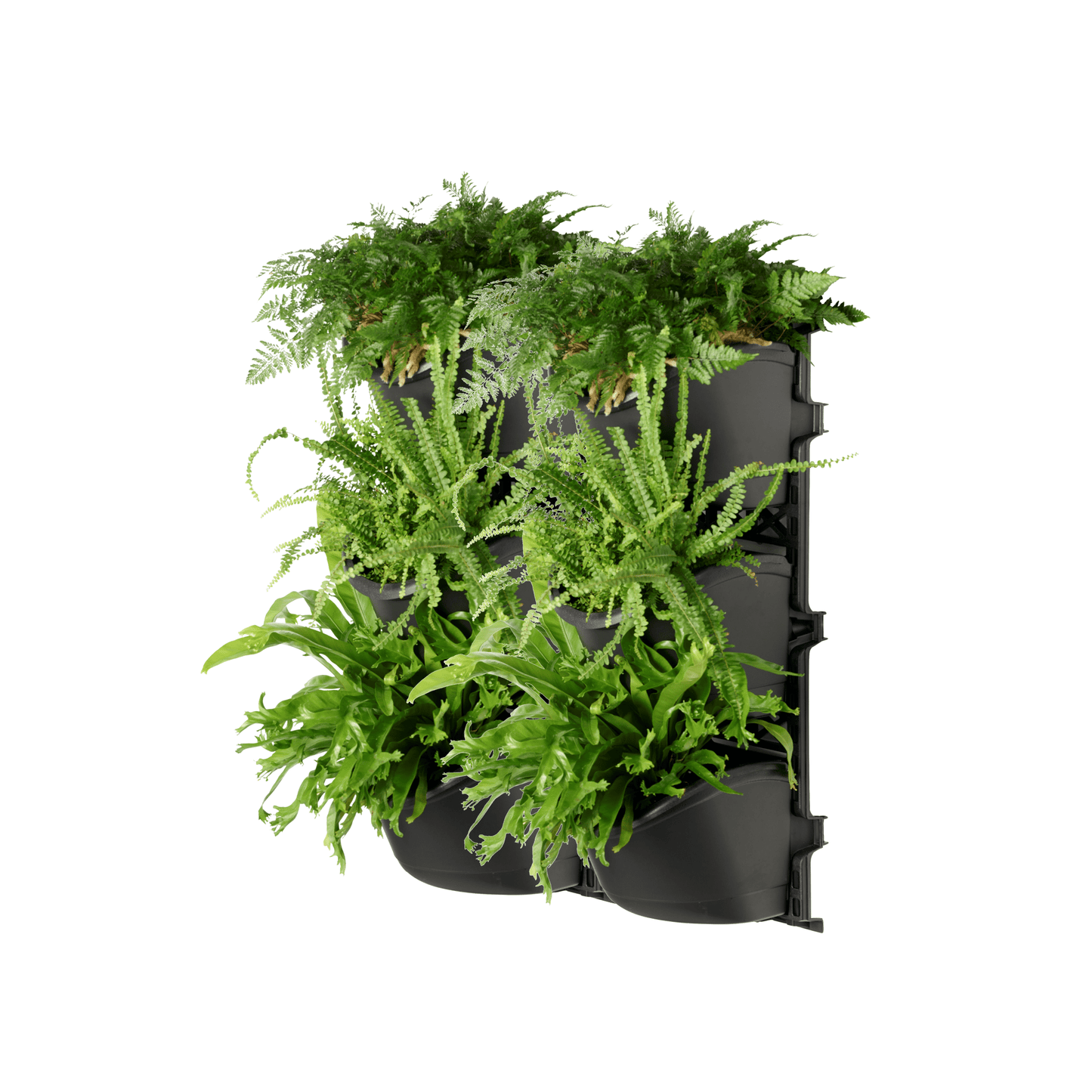 XL THREE Tier Vertical Garden - mazeproducts