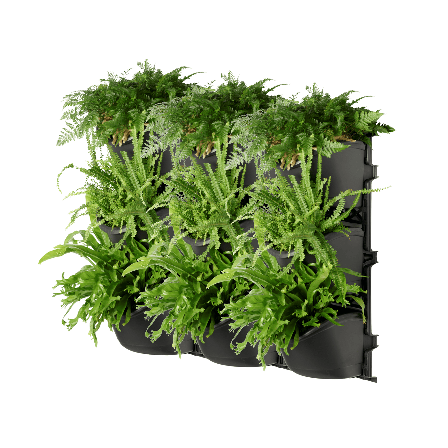 XL THREE Tier Vertical Garden - mazeproducts