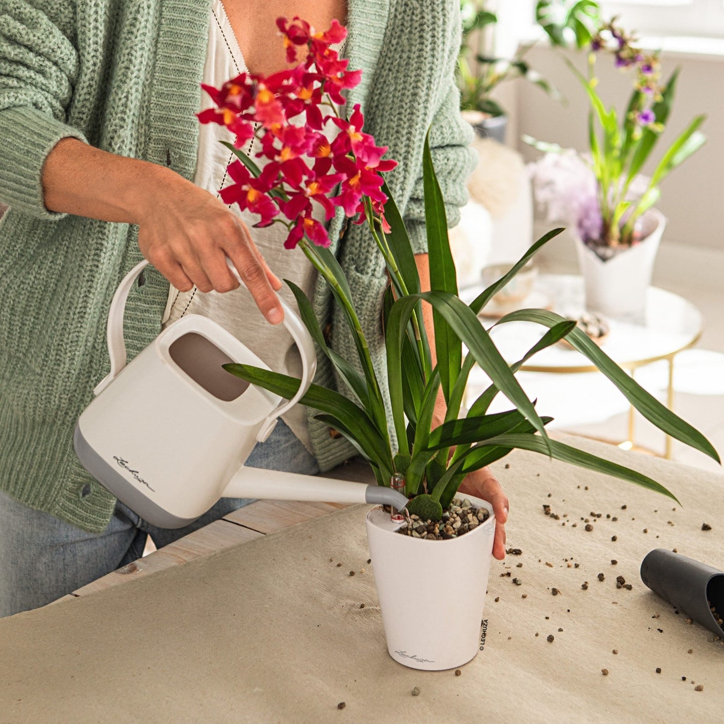 YULA Watering Can - mazeproducts