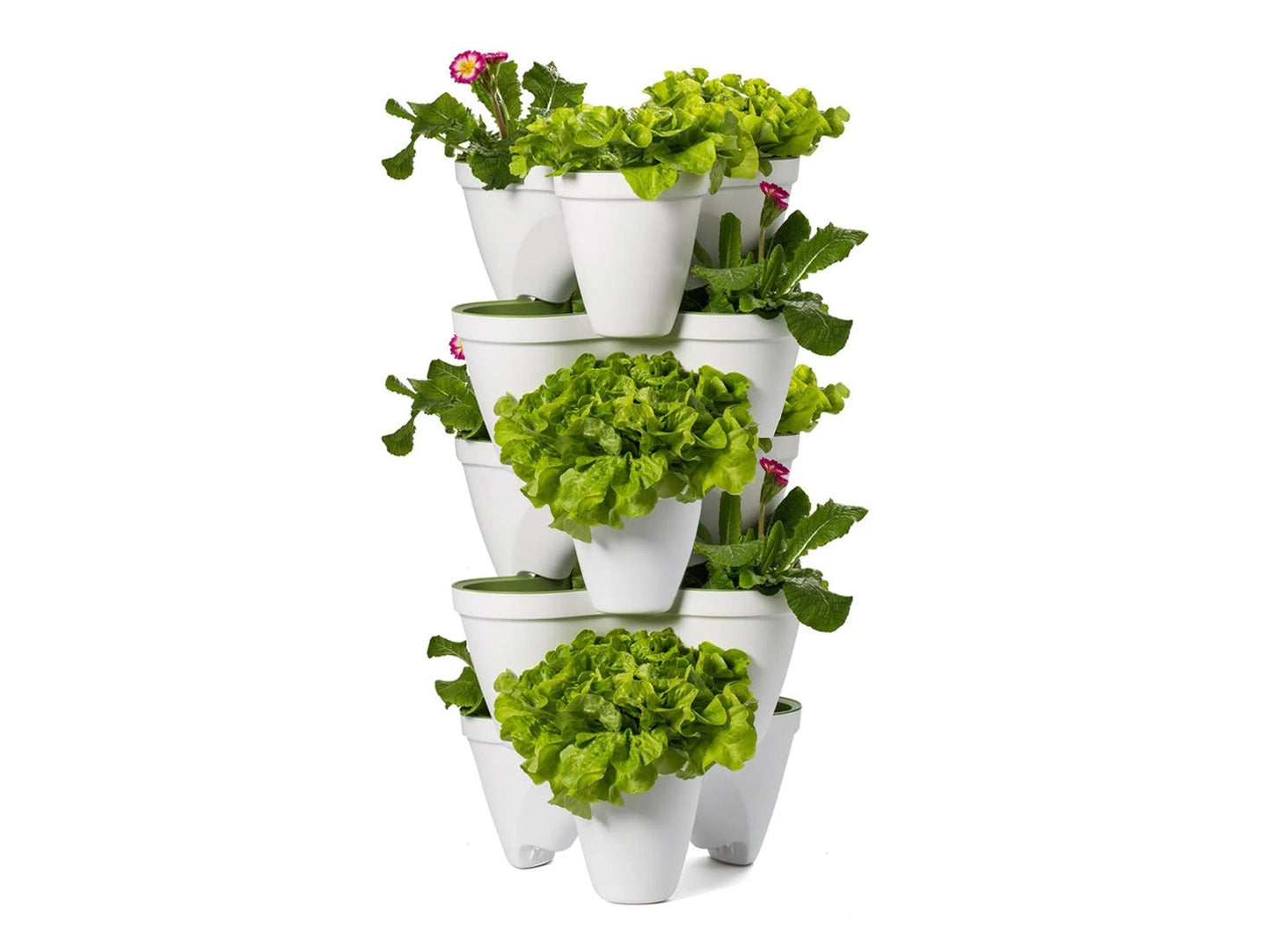 Keter Ivy Planter - White / Green - 5 Pack - mazeproducts