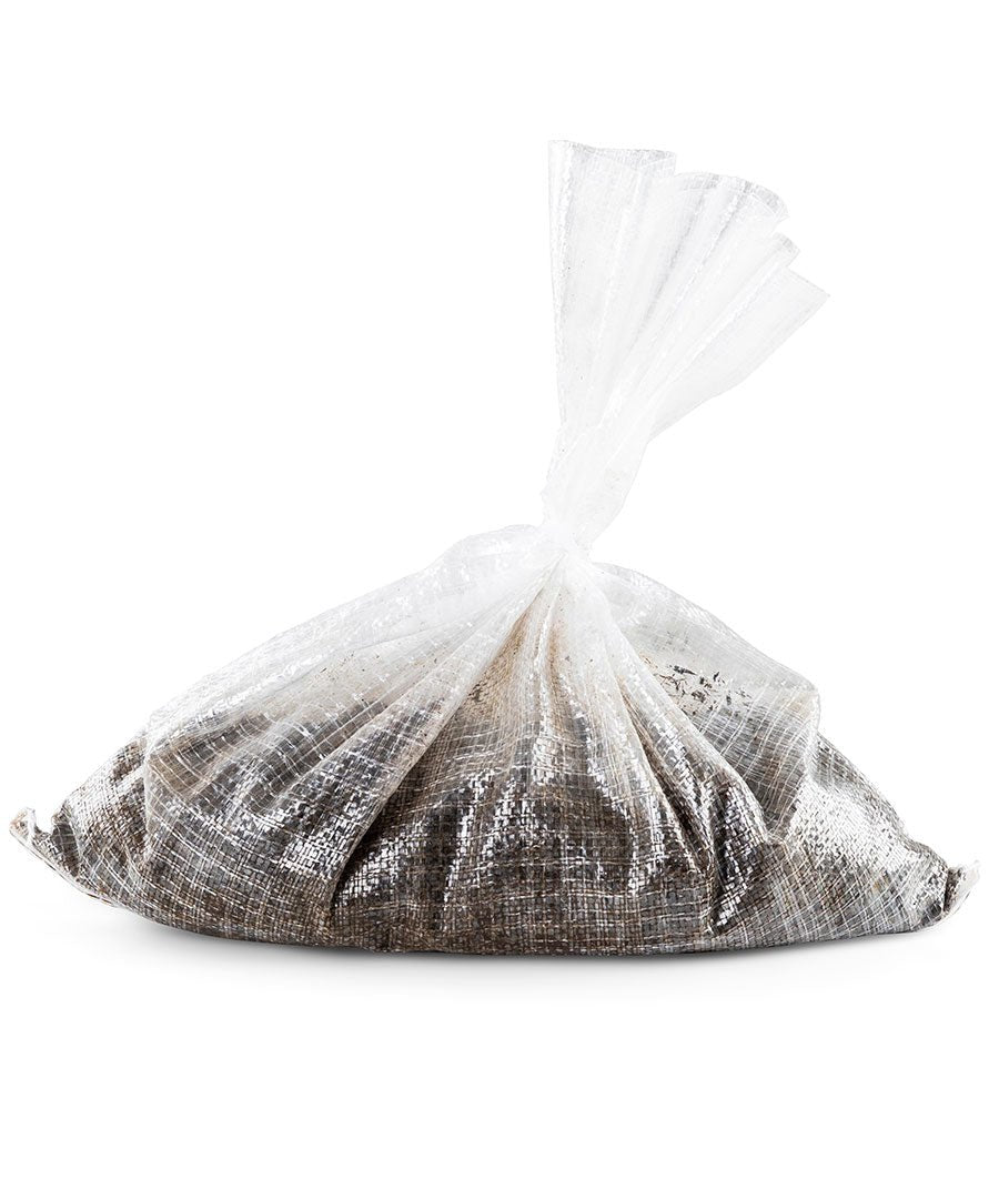 Live Compost Worms (approx 2000) - mazeproducts