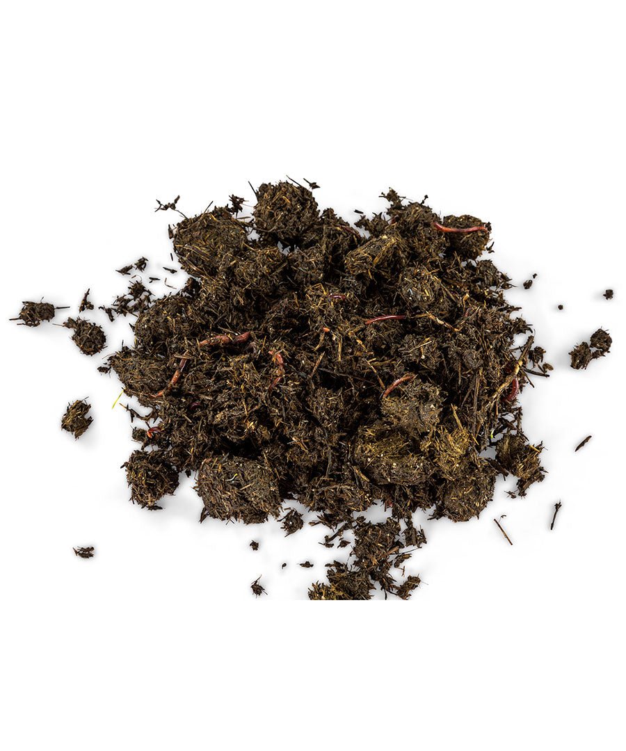 Live Compost Worms (approx 500) - mazeproducts