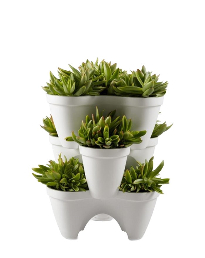 Keter Ivy Planter - White / Green - 3 Pack - mazeproducts