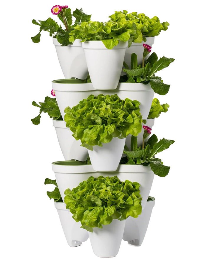 Keter Ivy Planter - White / Green - 5 Pack - mazeproducts