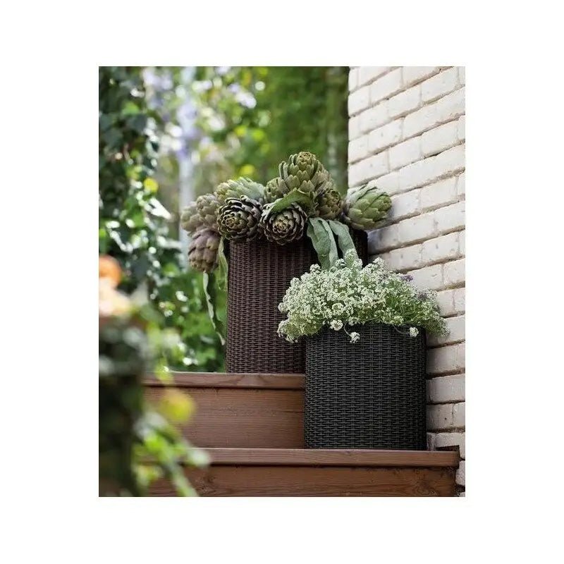 Keter Cylinder Planter - Set of 3 (S+M+L) - Dark Brown - mazeproducts