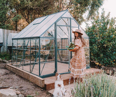Choosing the Right Maze Greenhouse for Your Space