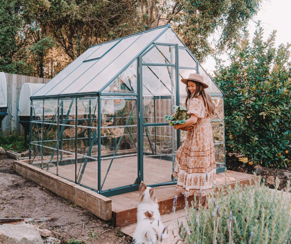 Choosing the Right Maze Greenhouse for Your Space