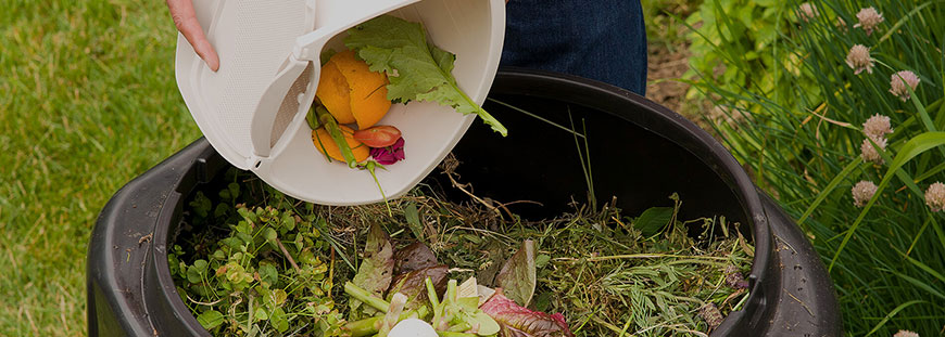 Five Steps to Composting Success