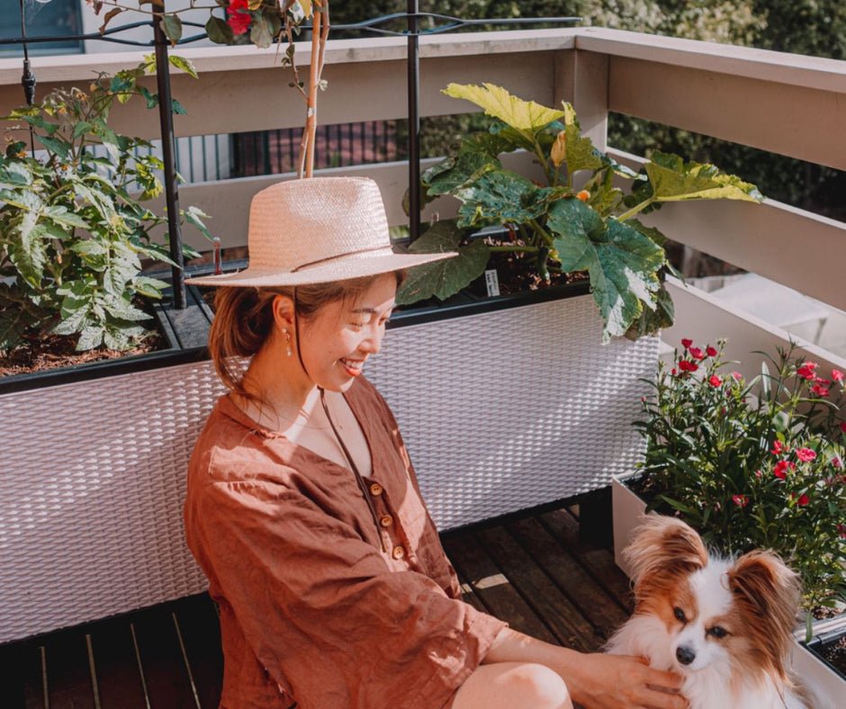 Self-Watering Pots: Perfect for Busy Gardeners - mazeproducts