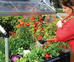 How Companion Planting Helps Naturally Fend Off Critters