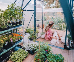 Top 5 Plants That Thrive in Small Greenhouses