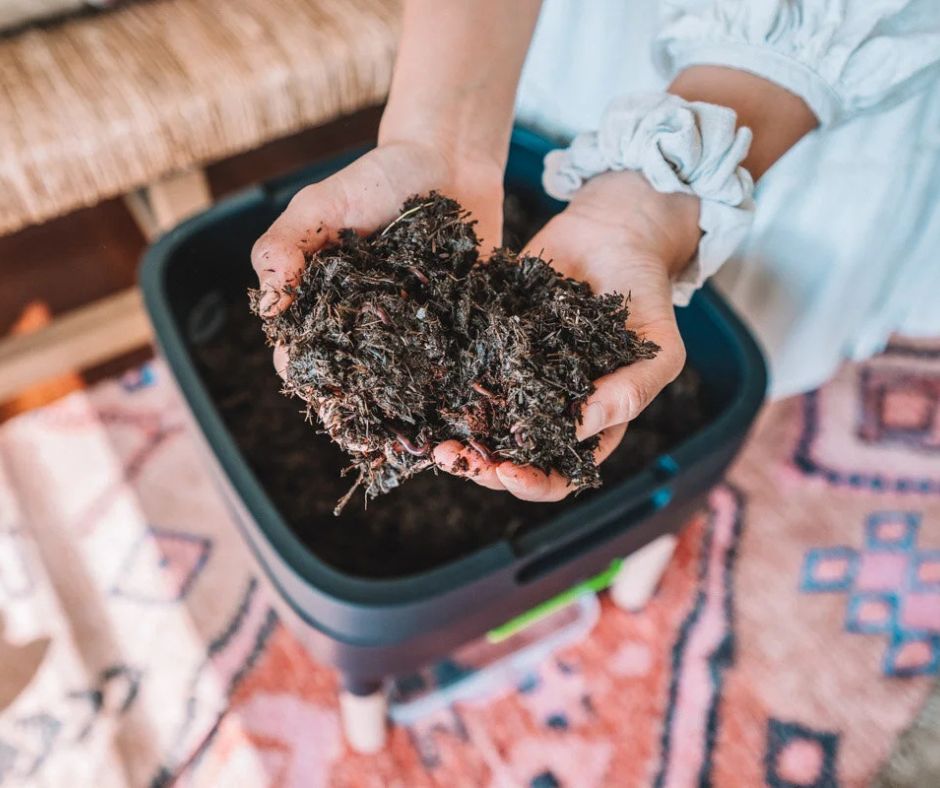 Harvesting Worm Castings (and Worm Tea): When It’s Ready + How to Use It