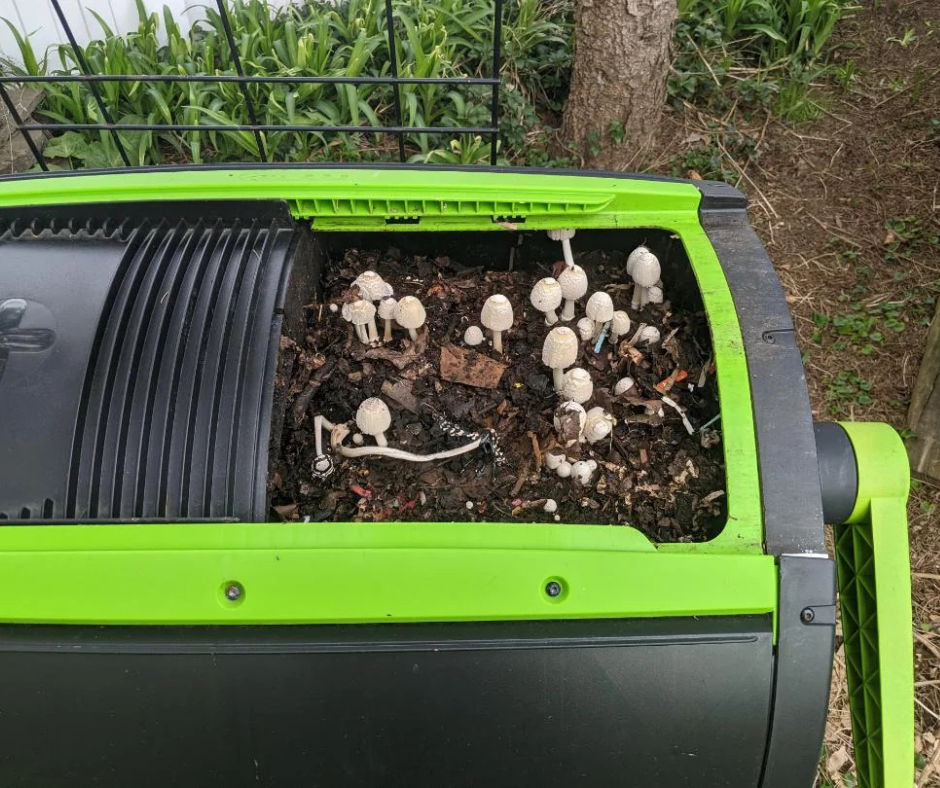 Does Composting Stop in Winter? What to Expect and How to Keep It Going