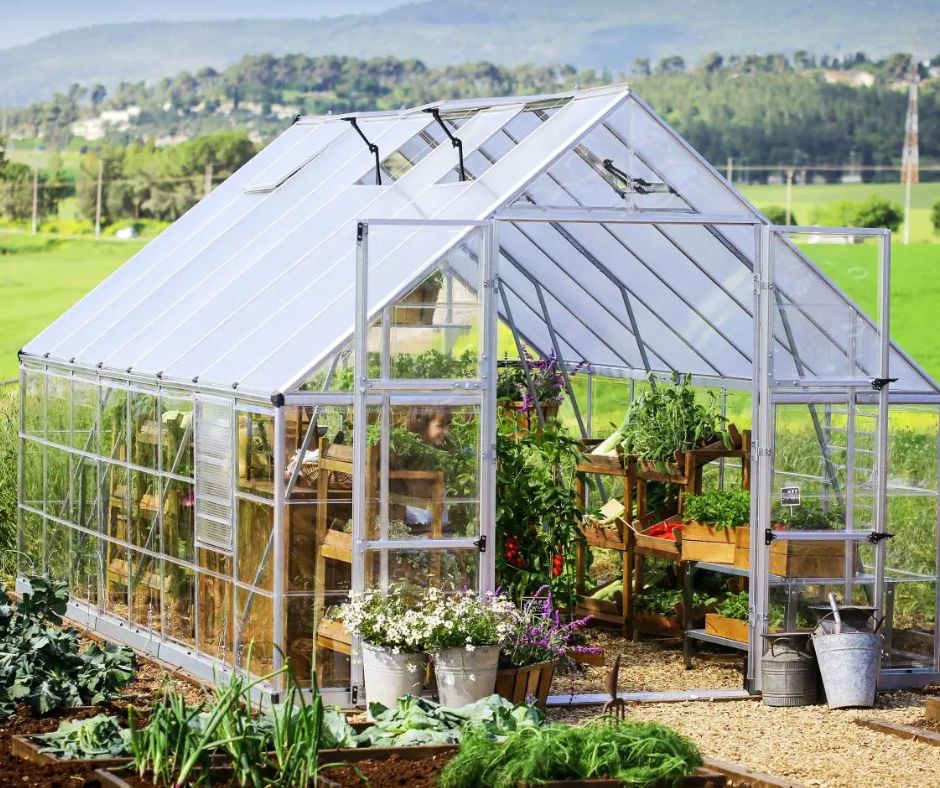 Greenhouse Too Hot? Summer Ventilation + Shade Basics for Walk‑In Greenhouses - mazeproducts