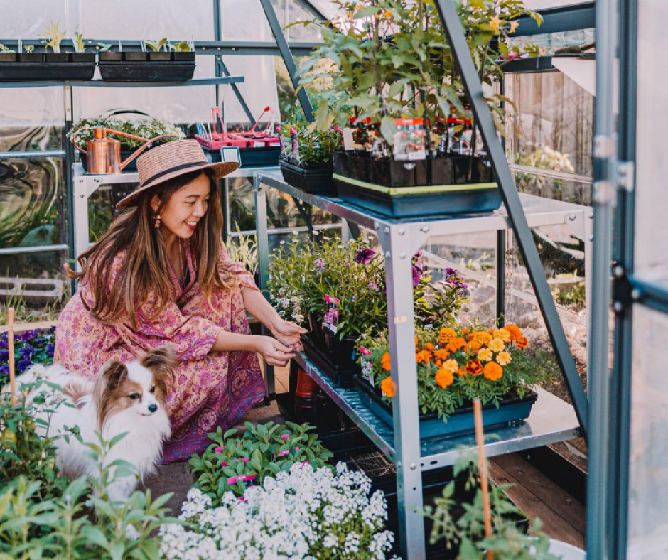 How to Create a Year-Round Growing Plan in Your Greenhouse - mazeproducts