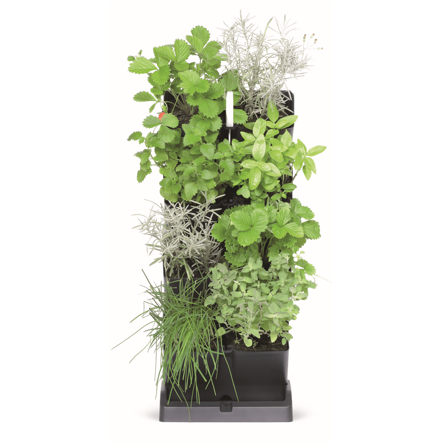 Vertical Gardens - mazeproducts