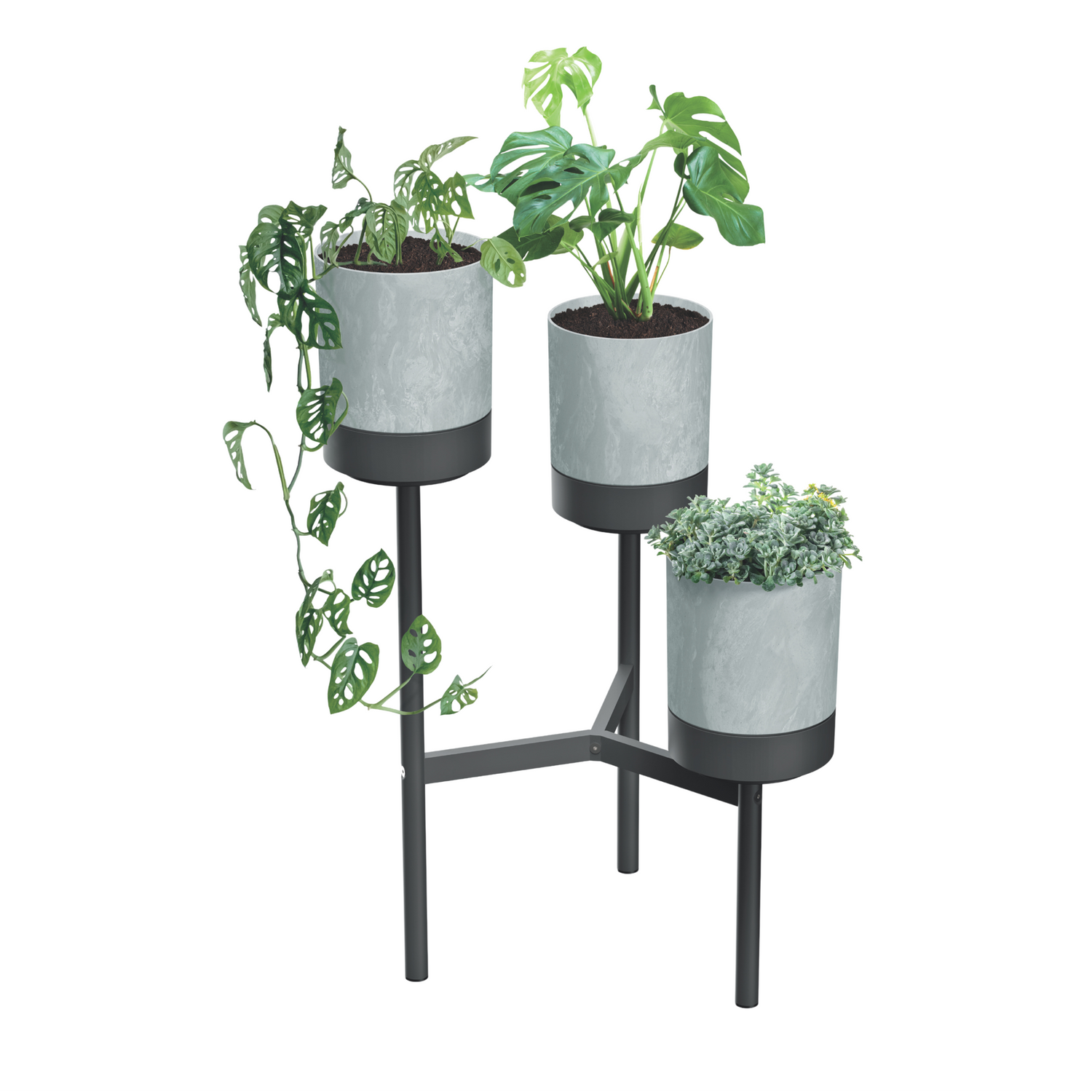 All Pots & Planters