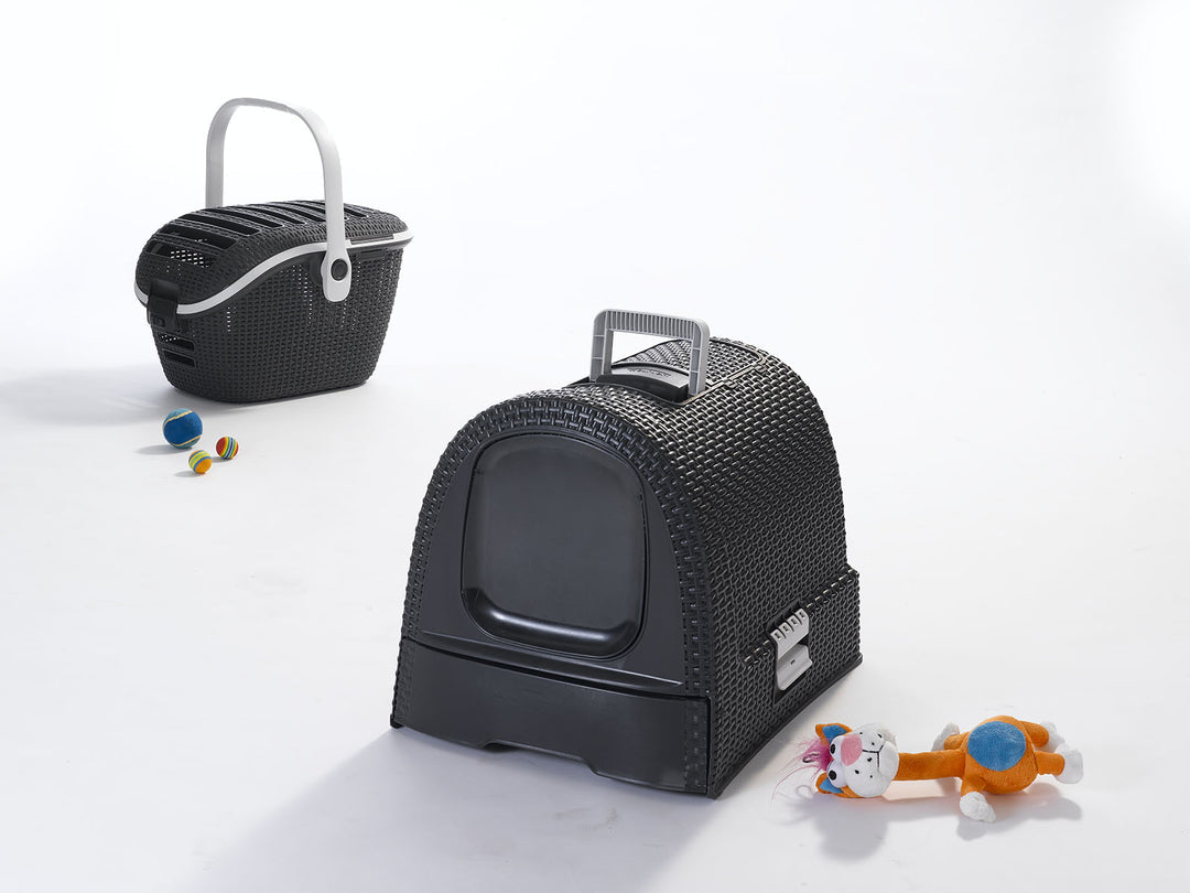 Curver Pet Carrier