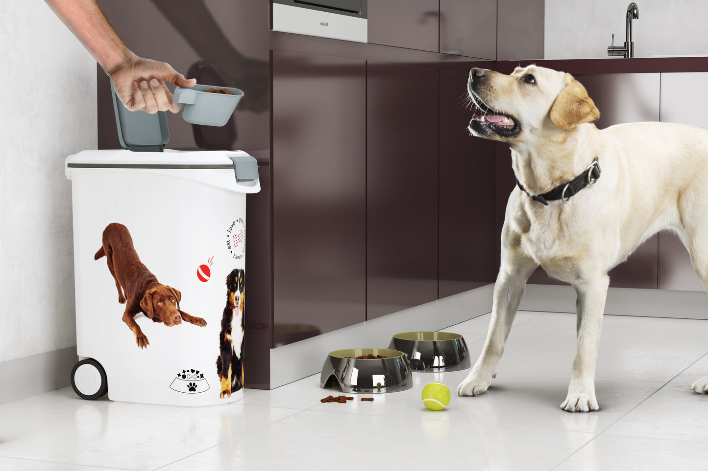 PRE ORDER: SEP. - Curver 54L/20kg Pet food Storage Container