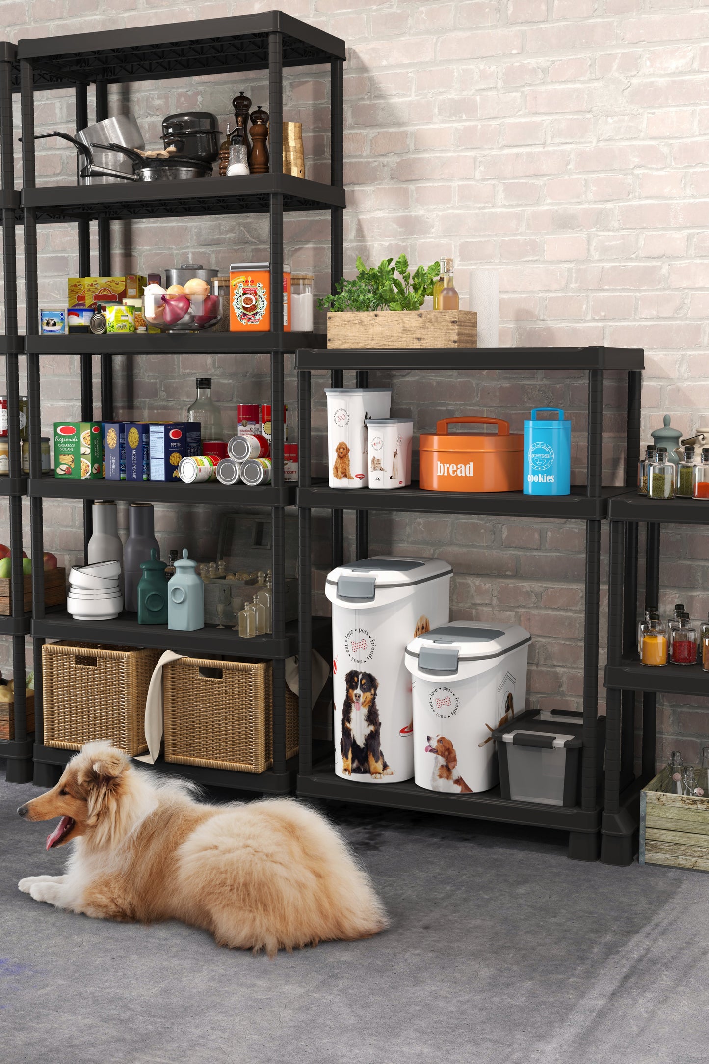 PRE ORDER: SEP. - Curver 54L/20kg Pet food Storage Container