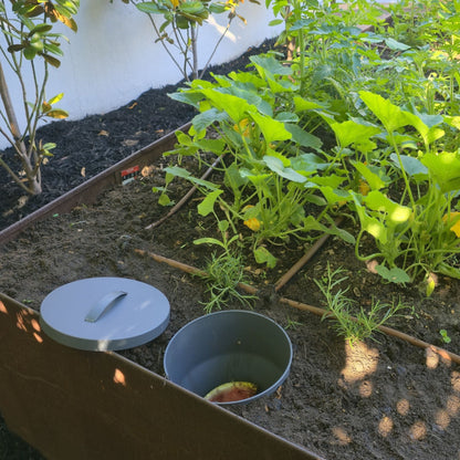 PRE ORDER: DEC. - 10L In Ground Composter / Worm Farm - Twin Pack - mazeproducts