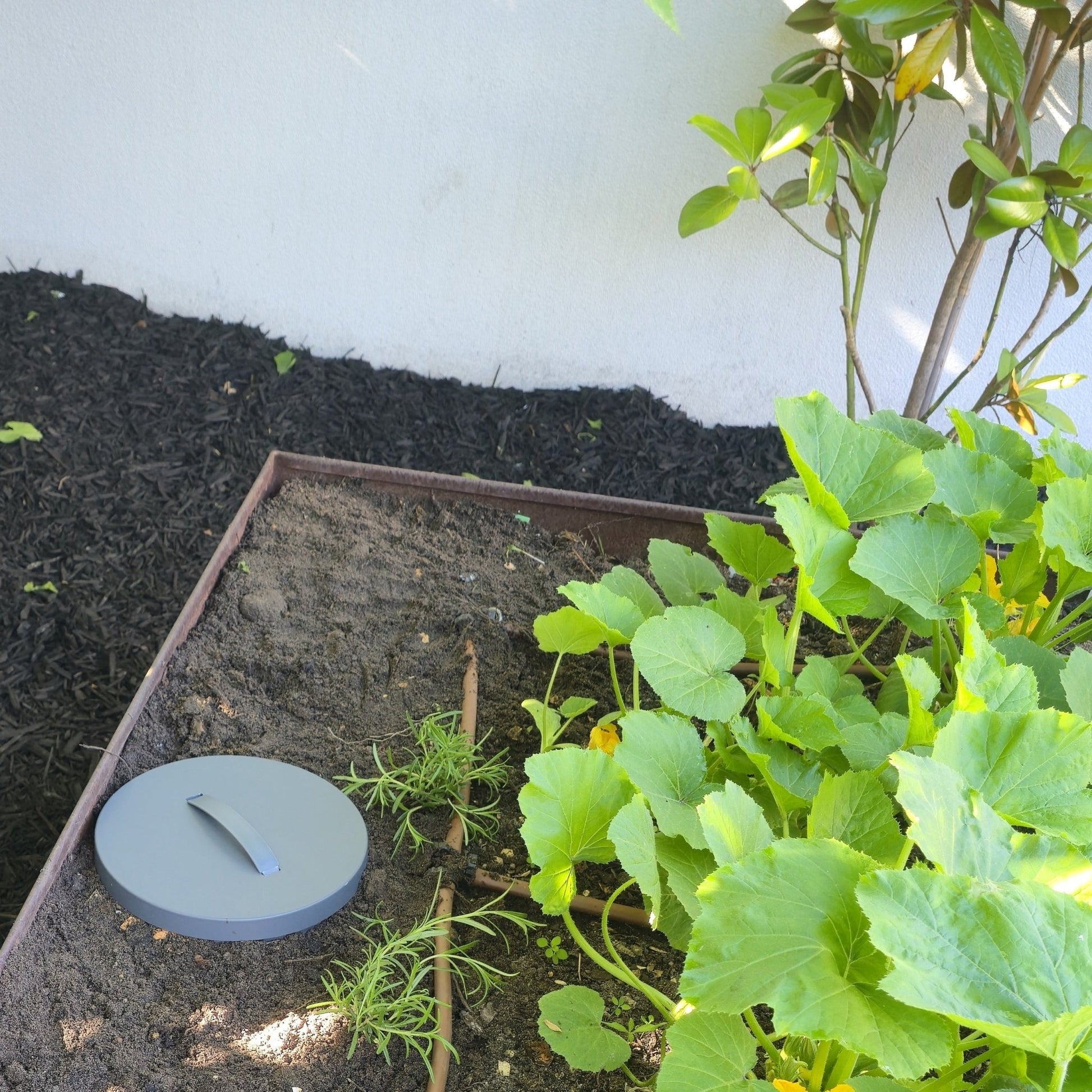 PRE ORDER: DEC. - 10L In Ground Composter / Worm Farm - Twin Pack - mazeproducts