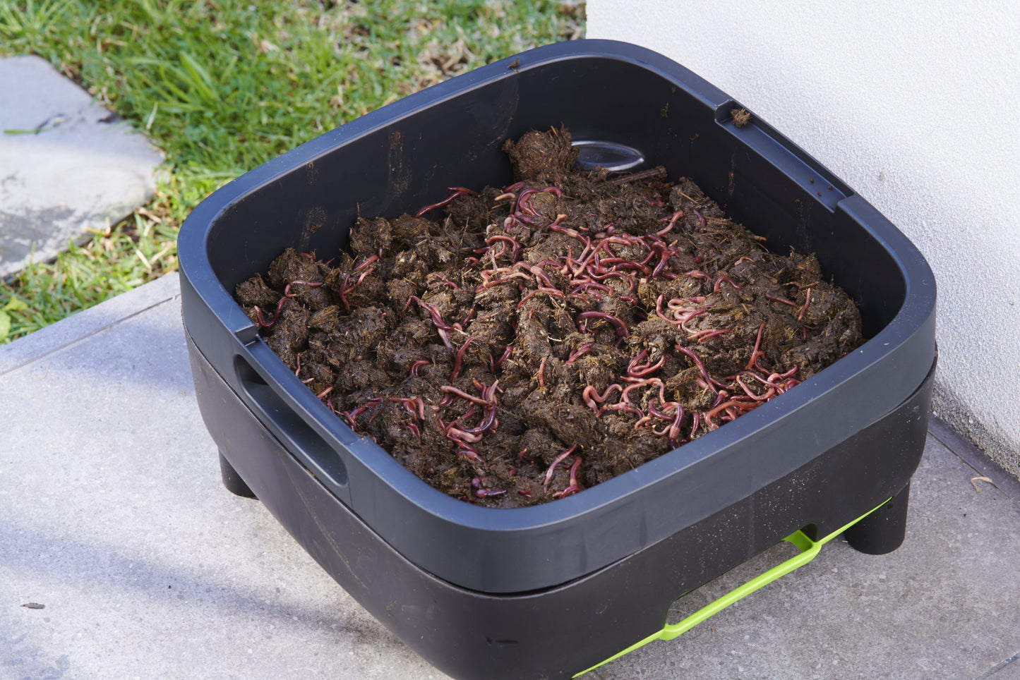 MAZE Worm Farm Working Tray