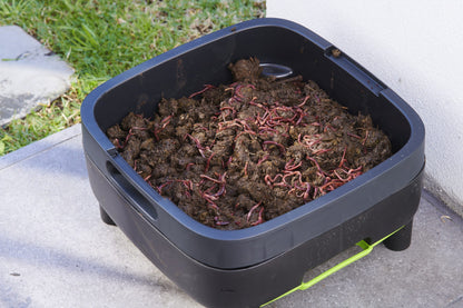 MAZE Worm Farm Working Tray