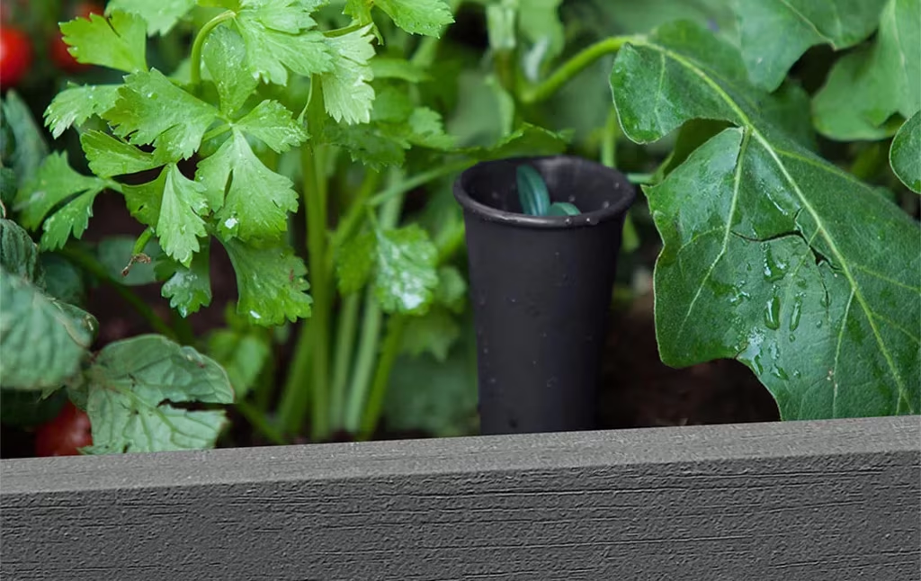 PRE ORDER: NOV. - Keter Darwin Raised Garden Bed - Grey