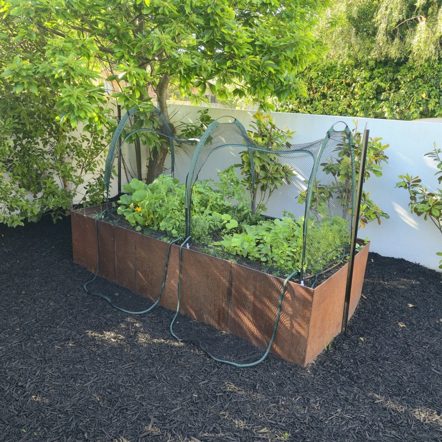 PRE ORDER: DEC. - 2m BIG HOLE NET Garden Tunnel - mazeproducts